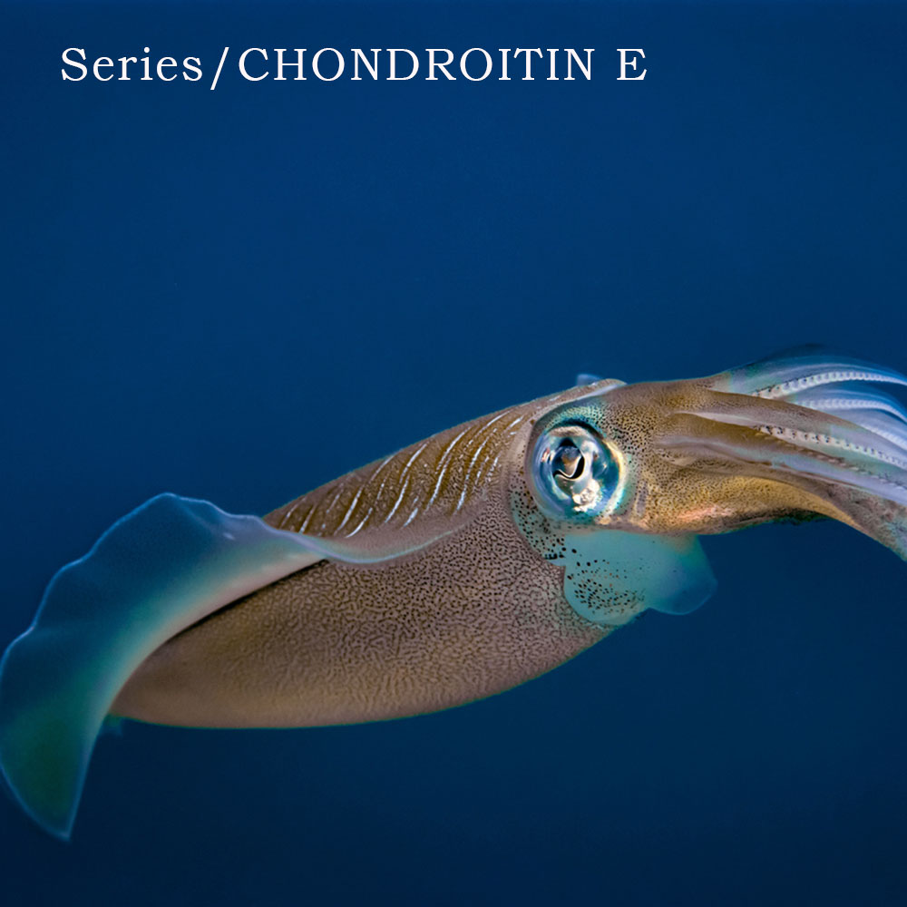コンドロイチンE