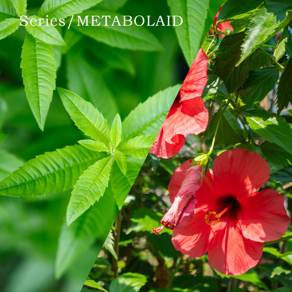 その他【美容・ダイエット】